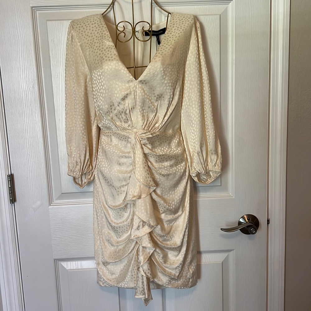 Moving Sale!! BCBGMaxazria Dress